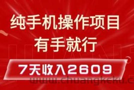 纯手机操作的小项目，有手就能做，7天收入2609+实操教程【揭秘】