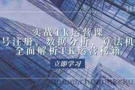 实战Tk运营实操：账号注册、数据分析、算法机制，全面解析TK运营秘籍