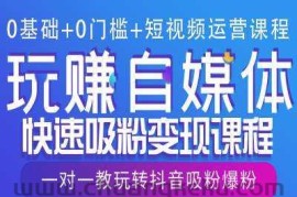 0基础+0门槛+短视频运营课程，玩赚自媒体快速吸粉变现课程，一对一教玩转抖音吸粉爆粉