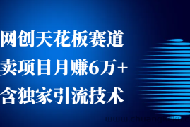 网创天花板赛道，卖项目月赚6万+，含独家引流技术（共26节课）