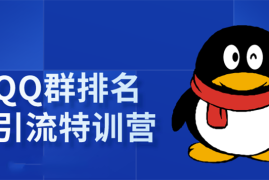 （1665期）《QQ群排名引流特训营》一个群被动收益1000，是如何做到的（5节视频课）