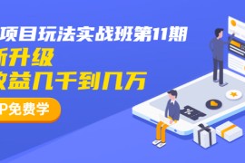 （1337期）龟课·闲鱼项目玩法实战班第11期，全新升级，月收益几千到几万（无水印）