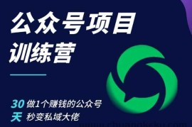 公众号项目训练营，30天做1个赚钱的公众号，秒变私域大佬