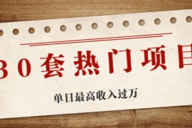 （1941期）30套热门项目：网赚项目、朋友圈、涨粉套路、抖音、快手  单日最高收入过万