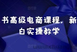 小红书高级电商课程，新手小白实操教学