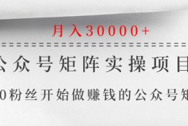 （1332期）公众号矩阵实操项目，从0粉丝开始做赚钱的公众号矩阵，月入30000+