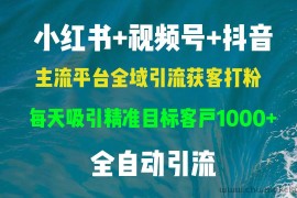 （13104期）小红书，视频号，抖音主流平台全域引流获客打粉，每天吸引精准目标客户…