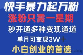 （12651期）快手暴力起万粉，涨粉只需一星期，多种变现模式，直接秒开万合，小白创…