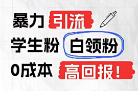 暴力引流学生粉白领粉，吊打以往垃圾玩法，0成本，高回报