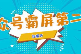 （1664期）公众号霸屏SEO特训营第二期，普通人如何通过拦截单日涨粉1000人 快速赚钱！