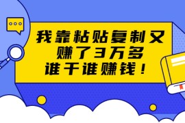 （1705期）粘贴复制赚钱术，我靠粘贴复制又赚了3万多，月入20万的项目 谁干谁赚钱