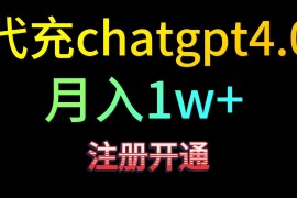 代充chatgpt4.0，日入500+，精准引流，暴力变现！