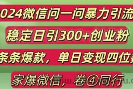 2024最新微信问一问暴力引流300+创业粉,条条爆款单日变现四位数【揭秘】