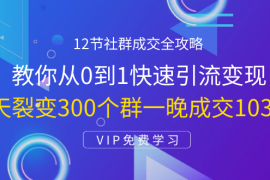 （1433期）12节社群成交全攻略：从0到1快速引流变现，3天裂变300个群一晚成交103万