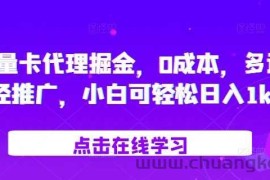 流量卡代理掘金，0成本，多途径推广，小白可轻松日入1k