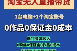 淘宝无人直播带货项目，纯无人挂JI，一台电脑，无需看管，开播即变现，低门槛 高收入