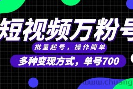 （13497期）短视频快速涨粉，批量起号，单号700，多种变现途径，可无限扩大来做。