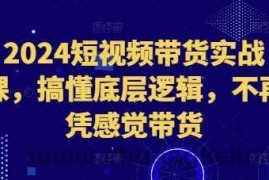 2024短视频带货实战课，搞懂底层逻辑，不再凭感觉带货