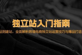 （12882期）独立站入门指南：从选品到建站，全面解析跨境电商独立站运营技巧与爆品…