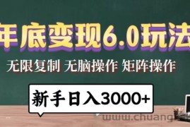 （13691期）年底变现6.0玩法，一天几分钟，日入3000+，小白无脑操作