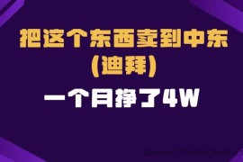 （13740期）跨境电商一个人在家把货卖到迪拜，暴力项目拆解