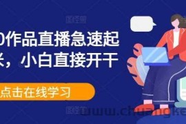 0粉丝0作品直播急速起号变米，小白直接开干