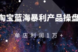 （1904期）淘宝蓝海暴利产品操盘教程：从零到单店利润10000+详细实操（付费文章）