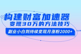 （1461期）构建财富加速器，副业小白到持续变现月涨粉2000+，变现30万的方法技巧