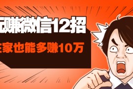 （1577期）玩赚微信12招：这样玩微信，手把手教你没钱没人脉在家也能多赚10万