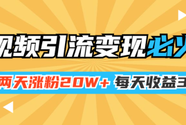 （1368期）小明兄短视频引流变现必火课，两天涨粉20W+，每天收益3W+（全套实操课）