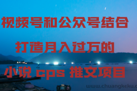 视频号和公众号结合打造月入过万的小说cps推文项目，包括市面上面的各种思路详解