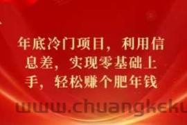 年底冷门项目，利用信息差，实现零基础上手，轻松赚个肥年钱【揭秘】