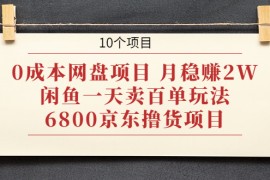 （1928期）0成本网盘项目 月稳赚2W+闲鱼一天卖百单玩法+6800京东撸货项目 (10个项目)