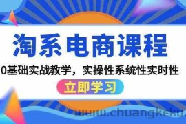 淘系电商课程，0基础实战教学，实操性系统性实时性（15节课）