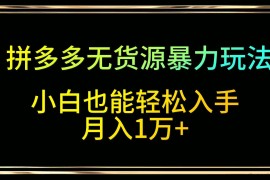 拼多多无货源暴力玩法，全程干货，小白也能轻松入手，月入1万+