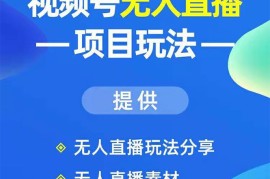 （1636期）视频号无人直播项目玩法：增加视频号粉丝-实现赚钱目的（附素材）