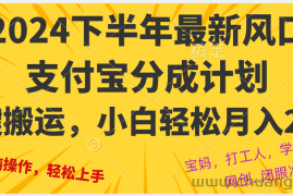 （12861期）2024年下半年最新风口，一键搬运，小白轻松月入2W+