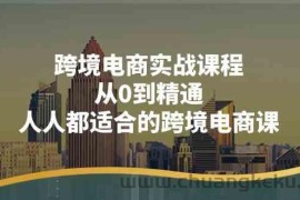 跨境电商实战课程：从0到精通，人人都适合的跨境电商课（14节课）