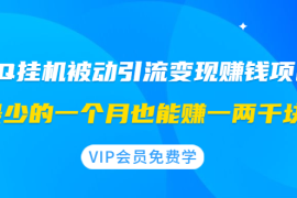 （1417期）QQ挂机被动引流变现赚钱项目：最少的一个月也能赚一两千块