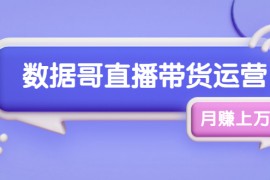 （1761期）数据哥直播带货运营线上进阶课，让普通人也能靠直播月赚上万元