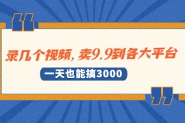 （1889期）录几个视频，卖9.9到各大平台，一天也能搞3000+