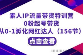 繁星·计划素人IP流量带货特训营：0粉起号带货 从0-1孵化网红达人（156节）