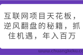 互联网项目天花板，逆风翻盘的秘籍，抓住机遇，年入百万