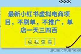 最新小红书虚拟电商项目，不刷单，不推广，单店一天三四百