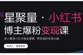 小红书博主爆粉变现课，深入解读小红书商业逻辑，带你进阶变现大咖