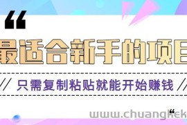 2024最适合新手操作的项目，新手小白只需复制粘贴就能开始赚钱【视频教程+软件】