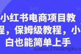 小红书电商项目教程，保姆级教程，小白也能简单上手