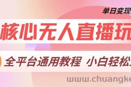 （13221期）最核心无人直播玩法，全平台通用教程，单日变现2000+