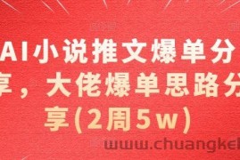 AI小说推文爆单分享，大佬爆单思路分享(2周5w)