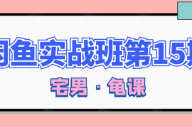 （1522期）龟课·闲鱼无货源电商课程第15期，一个月收益几万不等【33节视频-无水印】